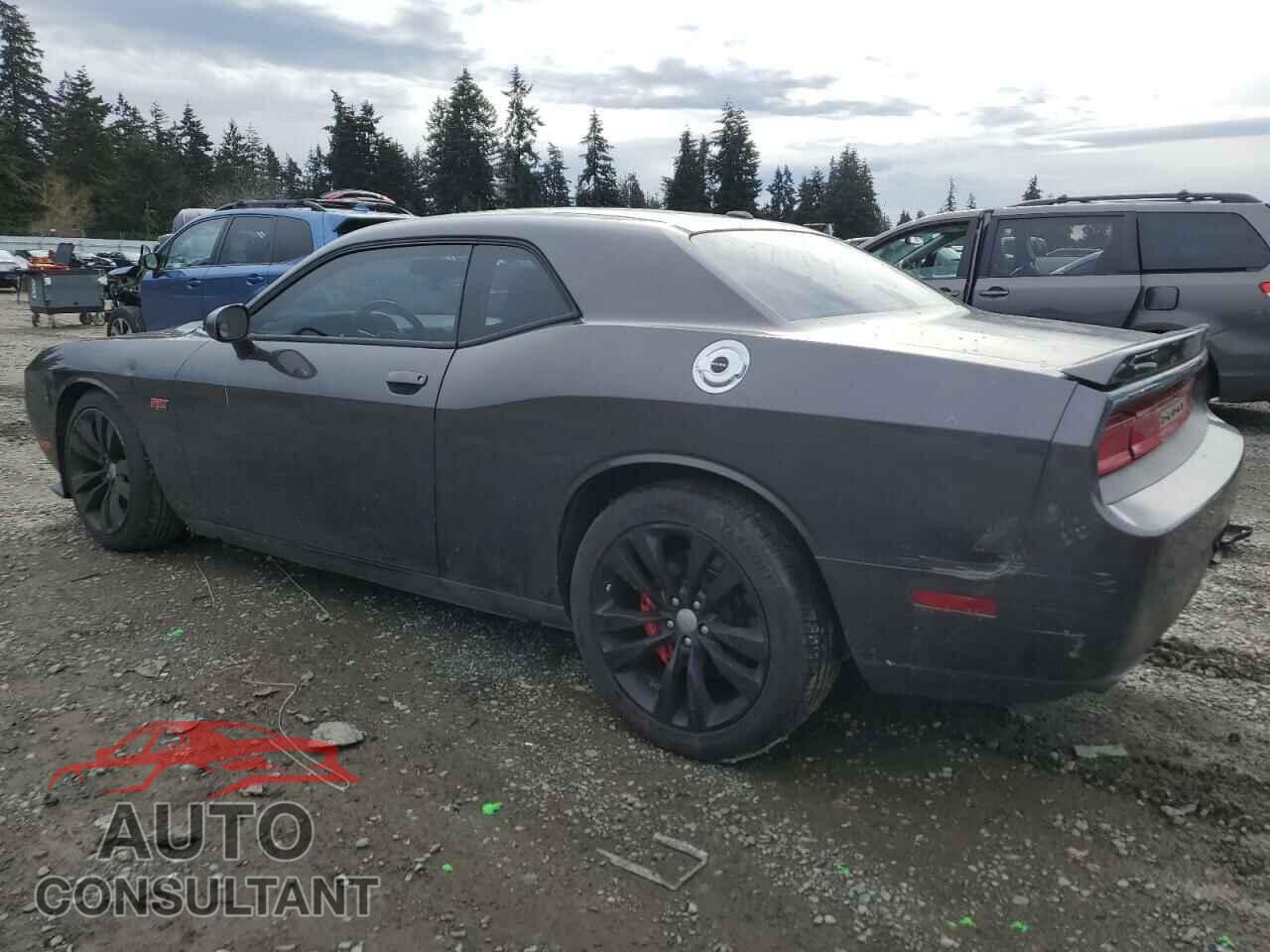 DODGE CHALLENGER 2013 - 2C3CDYCJ8DH574131
