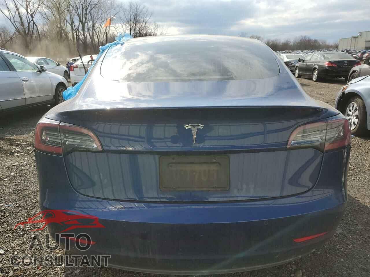 TESLA MODEL 3 2019 - 5YJ3E1EA4KF308959