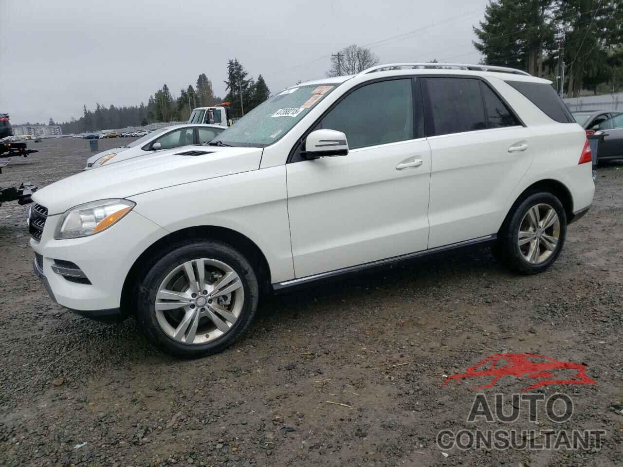 MERCEDES-BENZ M-CLASS 2013 - 4JGDA5HBXDA215852