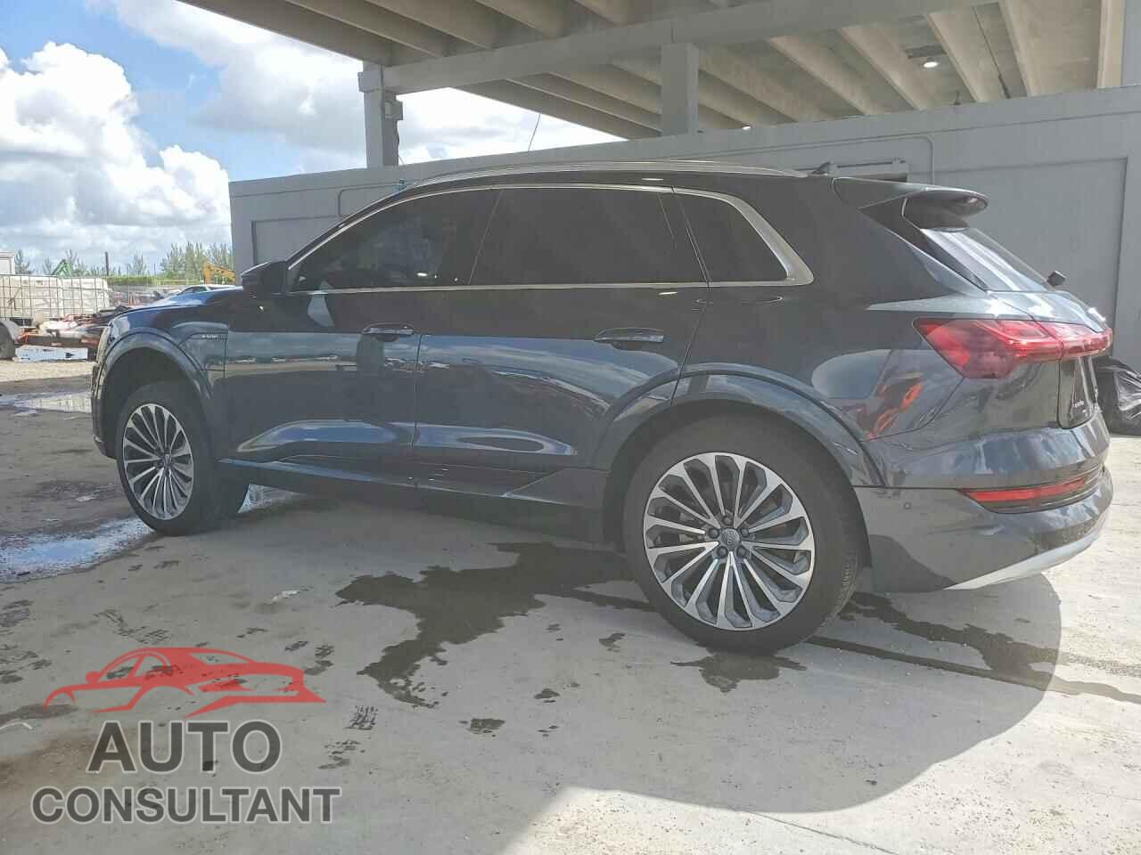 AUDI E-TRON 2019 - WA1VAAGEXKB023023