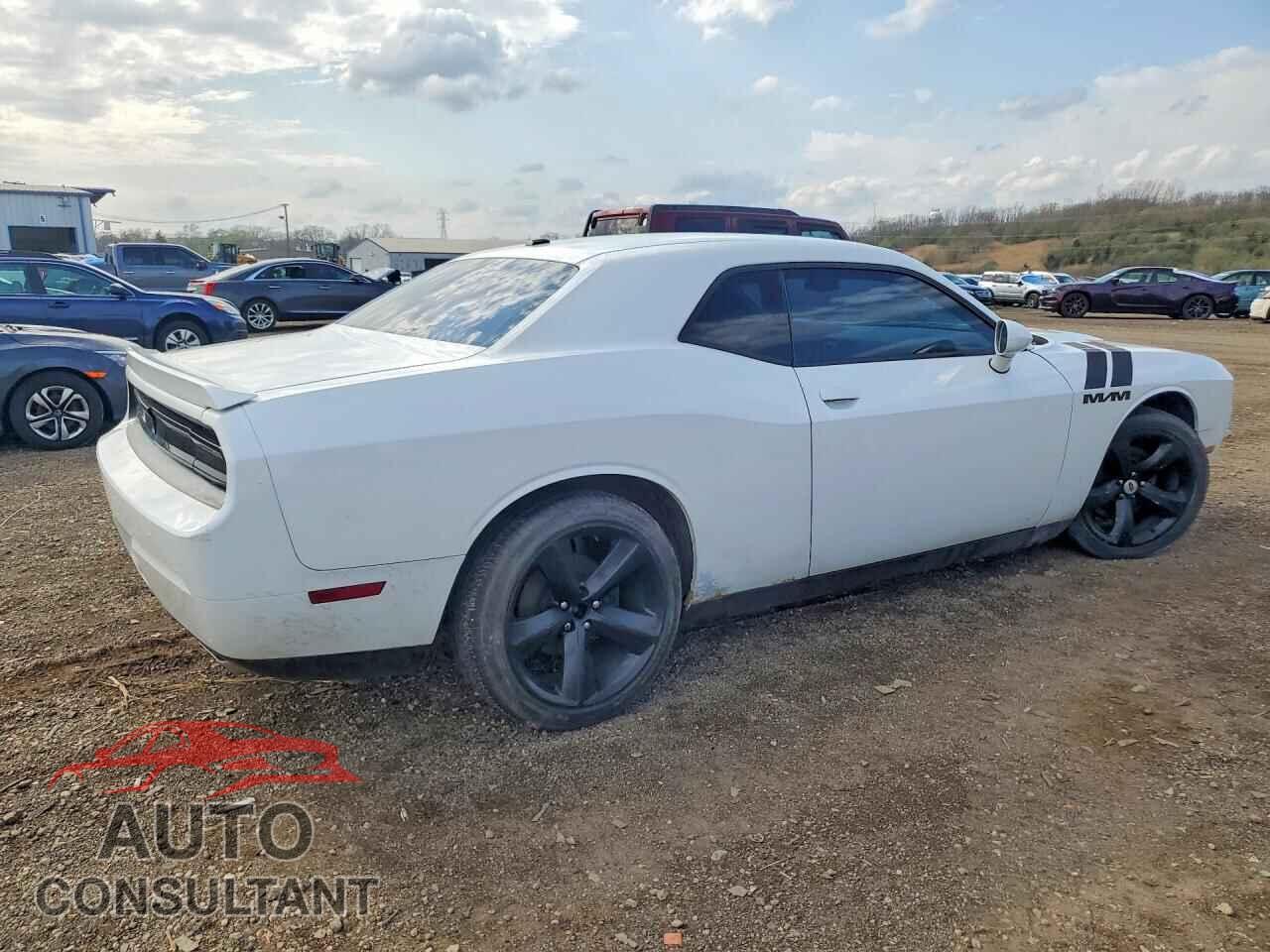 DODGE CHALLENGER 2014 - 2C3CDYAG4EH250280