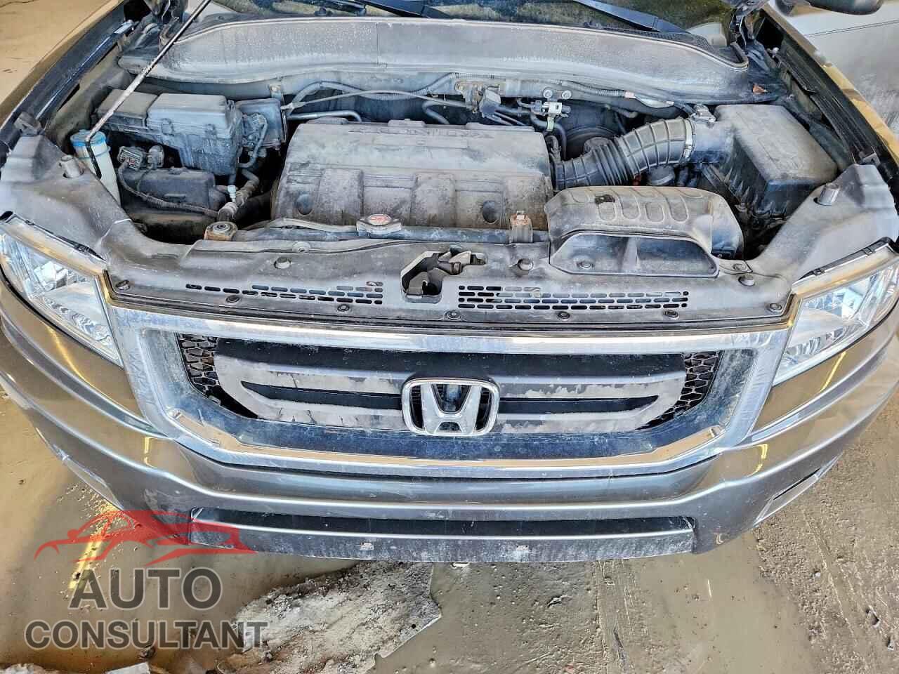 HONDA RIDGELINE 2011 - 5FPYK1F28BB453791