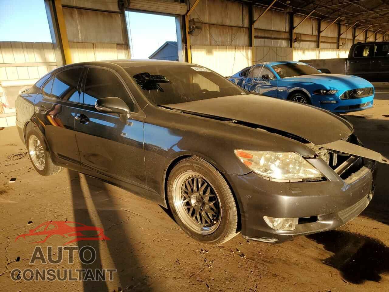 LEXUS LS460 2010 - JTHBL5EF4A5094963