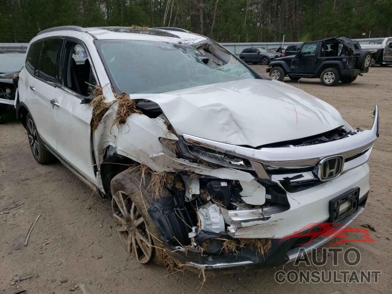 HONDA PILOT 2021 - 5FNYF6H06MB074118