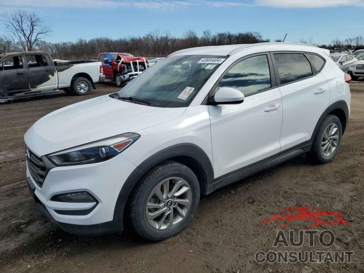 HYUNDAI TUCSON 2016 - KM8J33A48GU114843