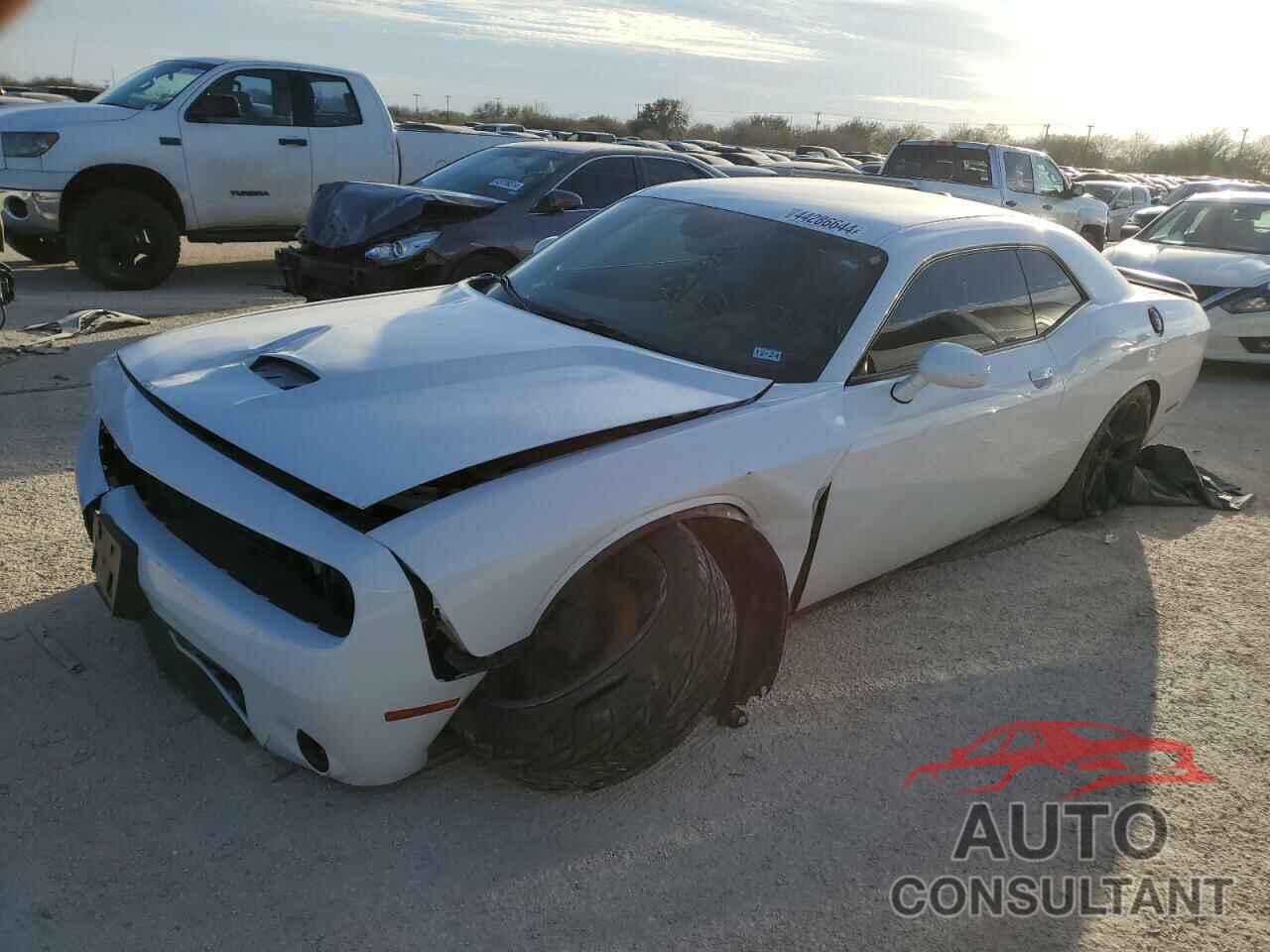 DODGE CHALLENGER 2019 - 2C3CDZJG7KH690219