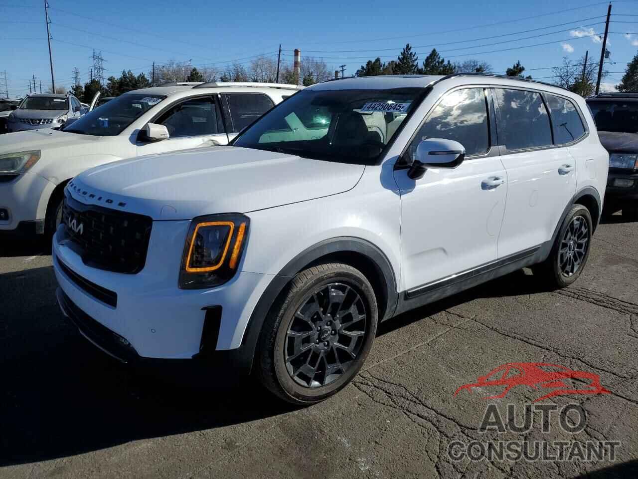 KIA TELLURIDE 2022 - 5XYP5DHC2NG246877