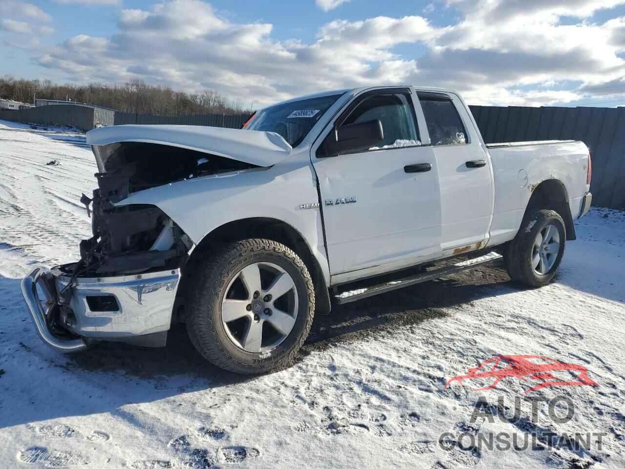 DODGE All Models 2010 - 1D7RV1GTXAS129762