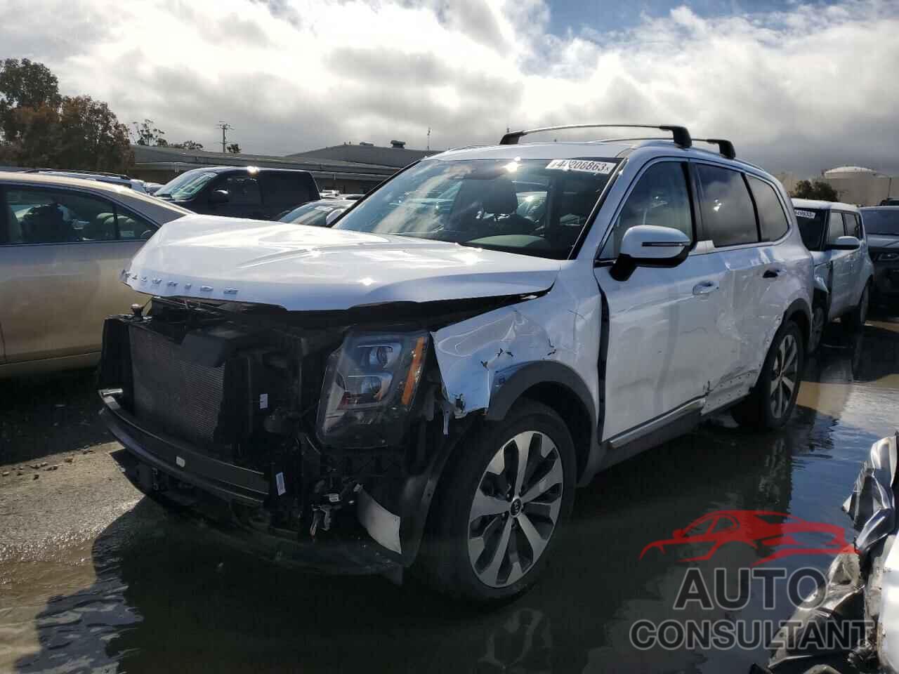 KIA TELLURIDE 2021 - 5XYP3DHC8MG120107