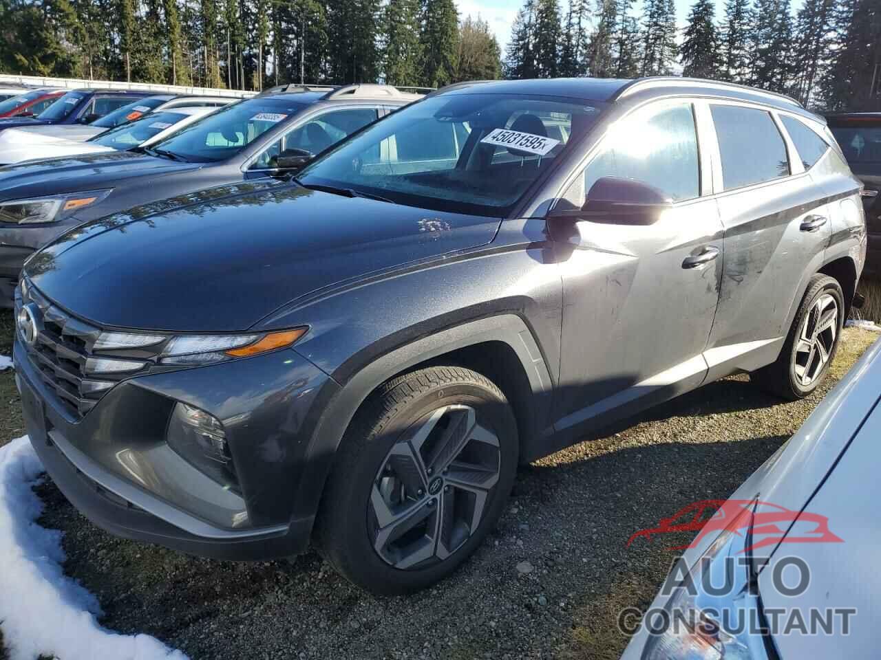 HYUNDAI TUCSON 2023 - 5NMJFCAE4PH220590