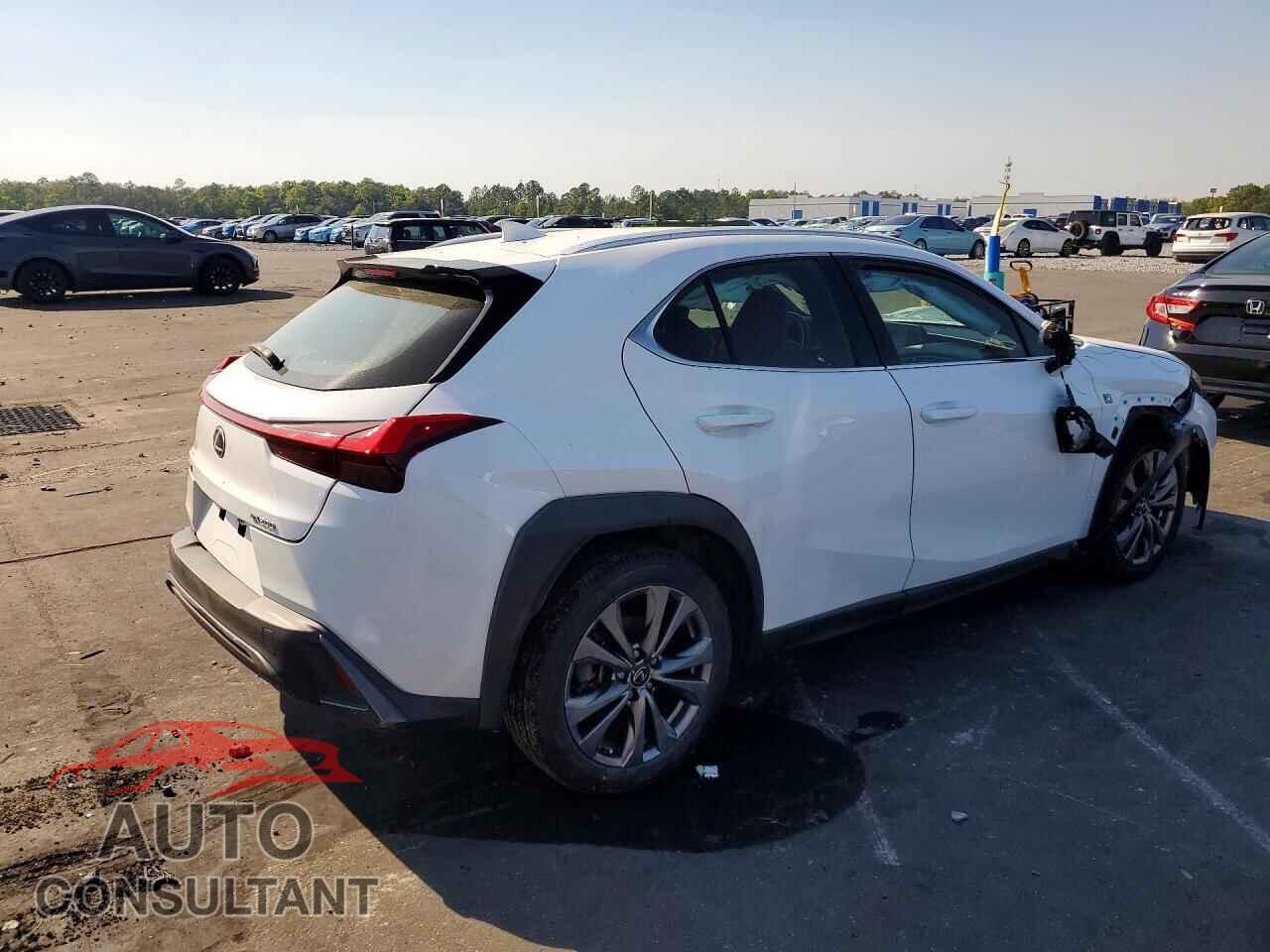 LEXUS UNKNOWN 2019 - JTHY3JBH8K2019985