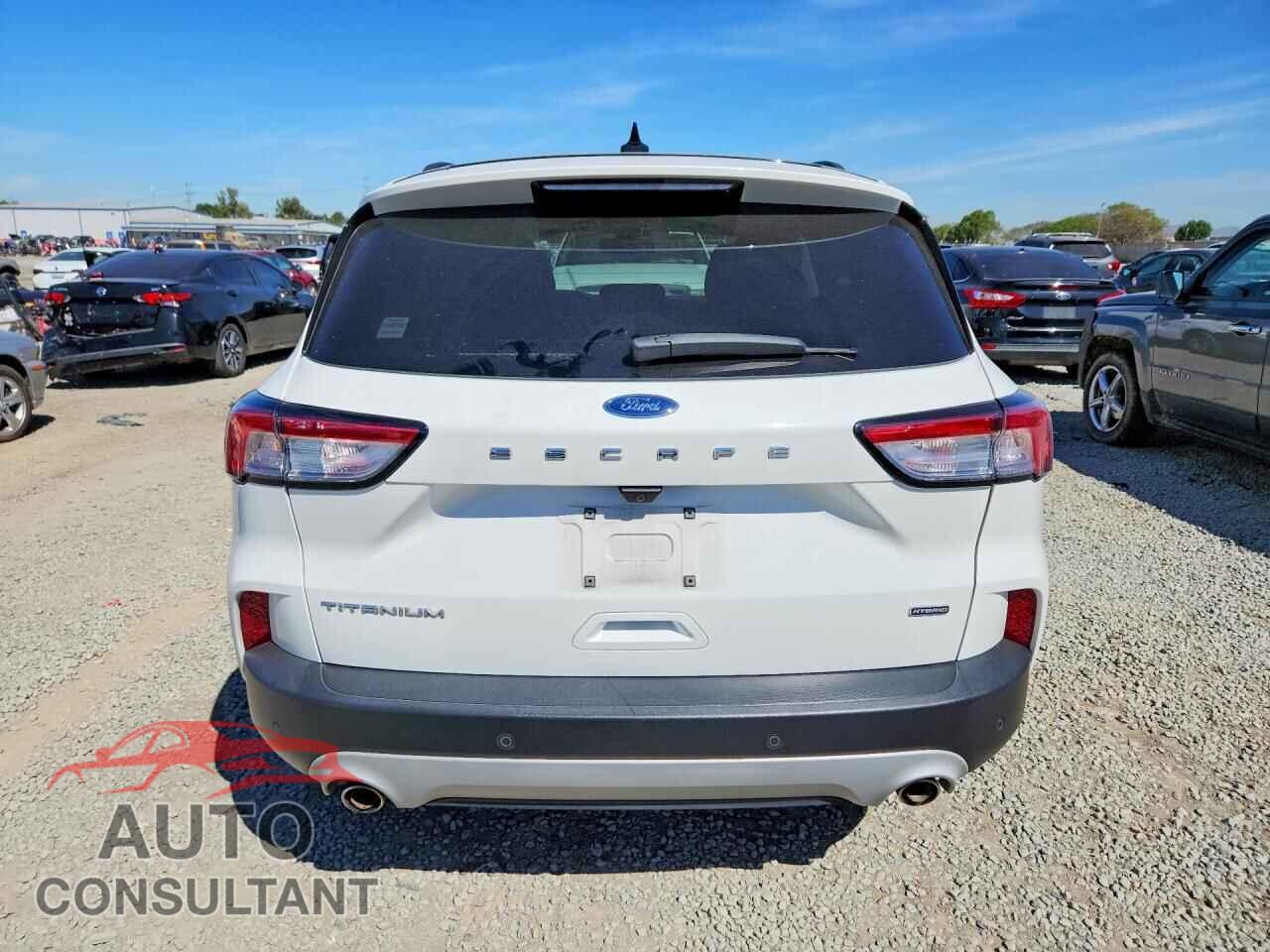 FORD ESCAPE 2020 - 1FMCU0DZ3LUA39622