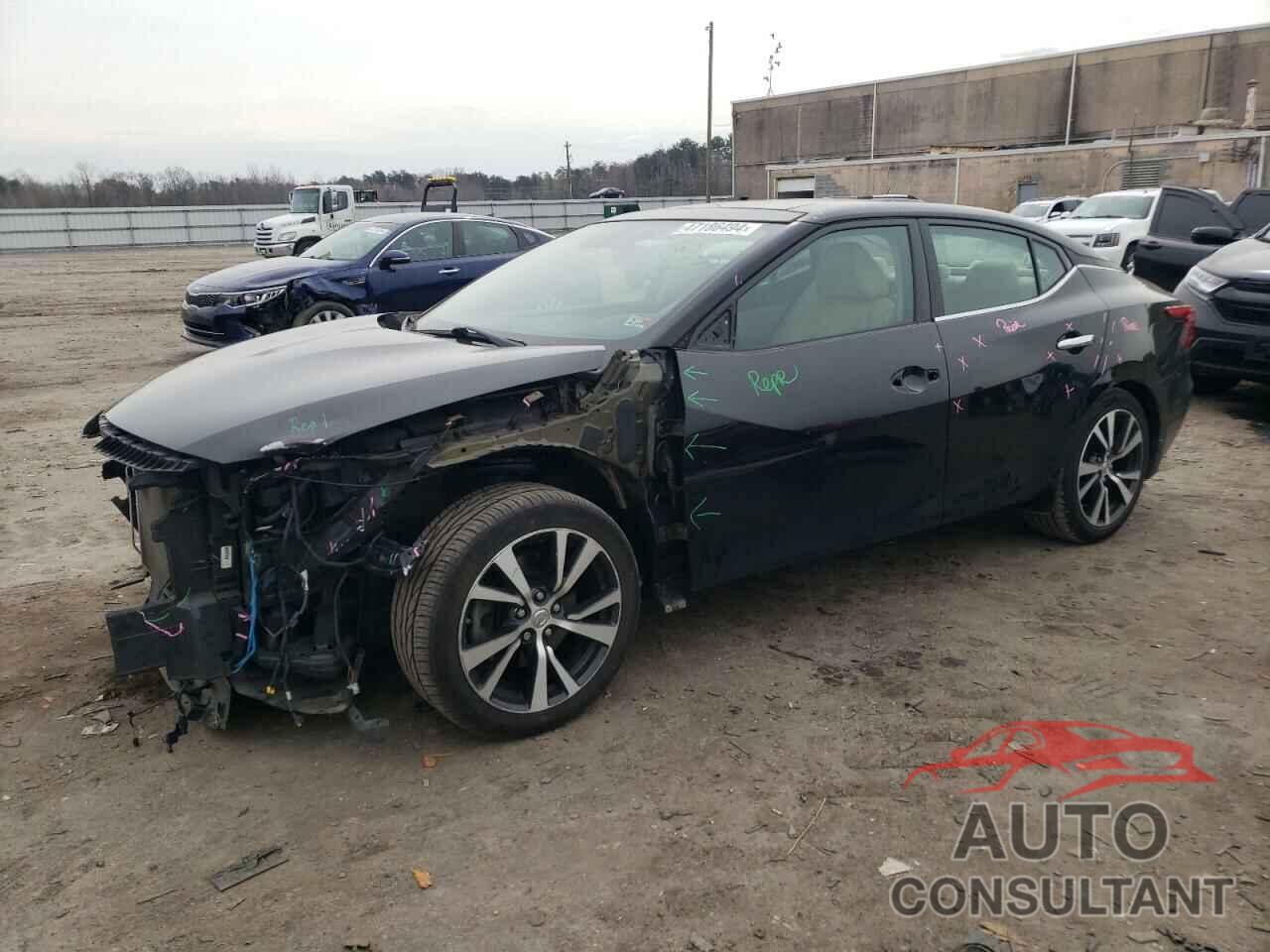 NISSAN MAXIMA 2017 - 1N4AA6AP5HC362454