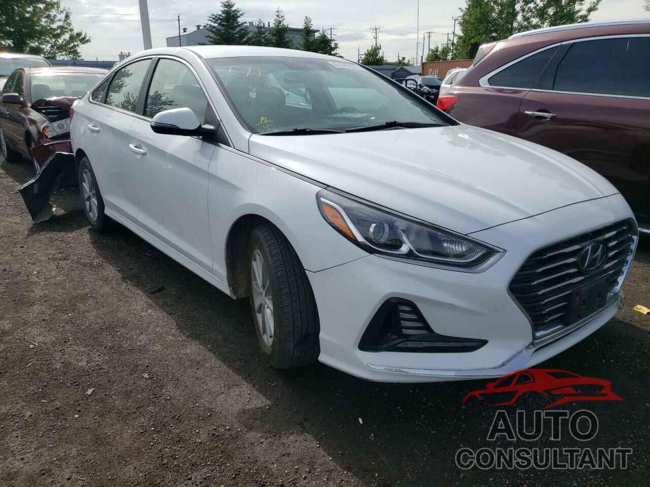 HYUNDAI SONATA 2019 - 5NPE24AF2KH803358