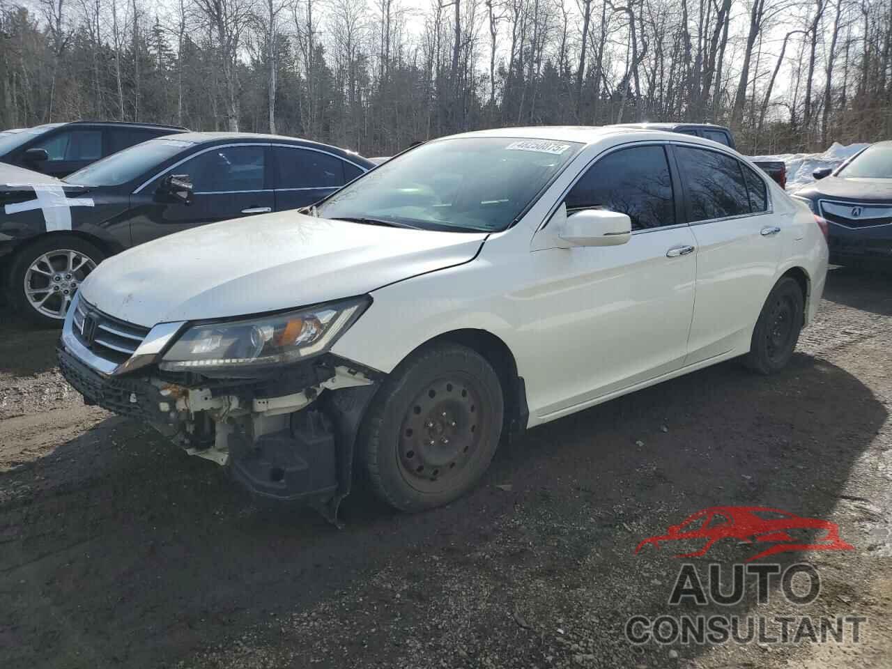 HONDA ACCORD 2015 - 1HGCR2F51FA807228
