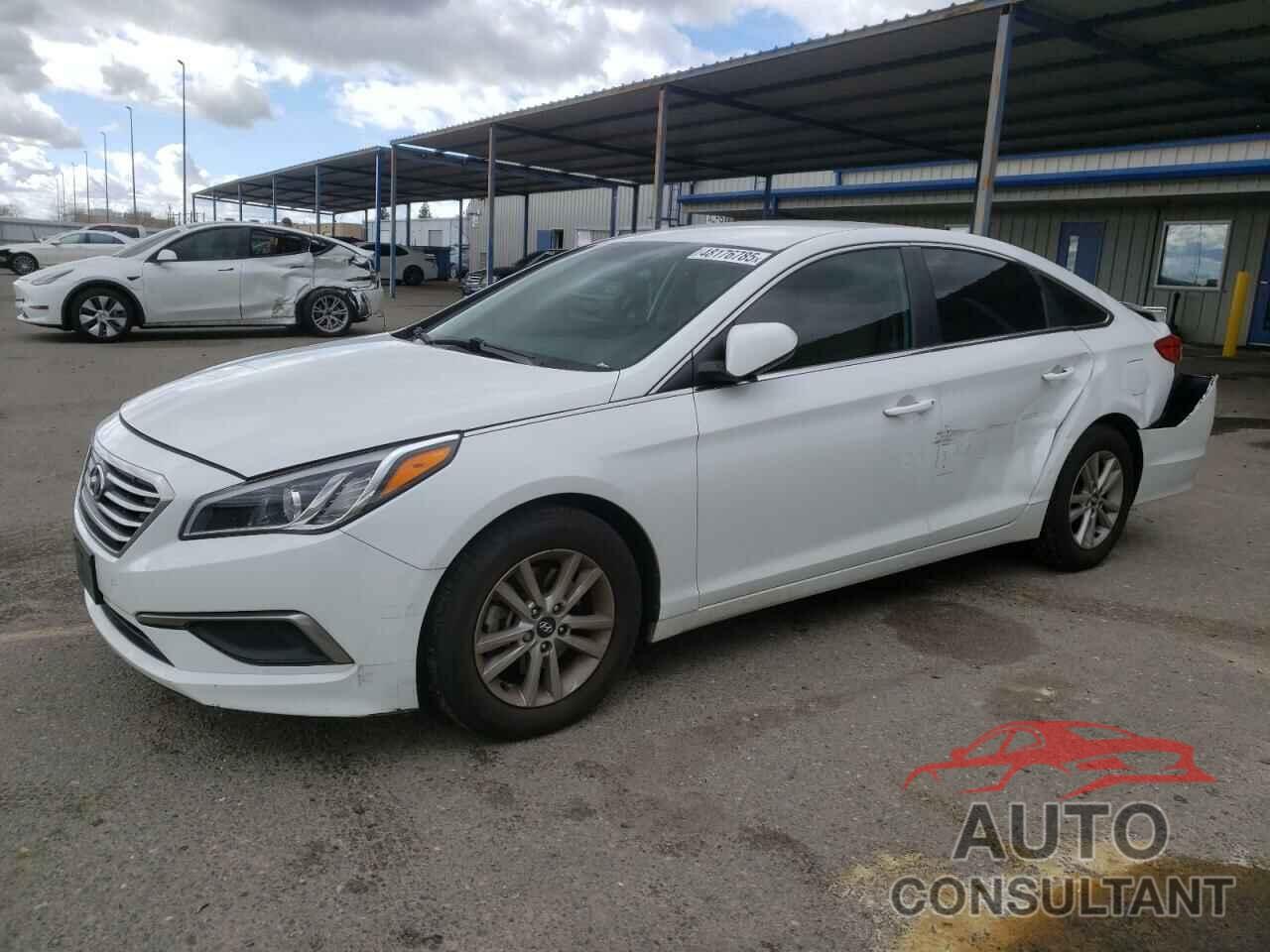 HYUNDAI SONATA 2016 - 5NPE24AF7GH319449