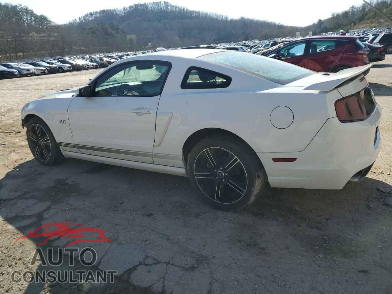 FORD MUSTANG 2014 - 1ZVBP8CF7E5263144