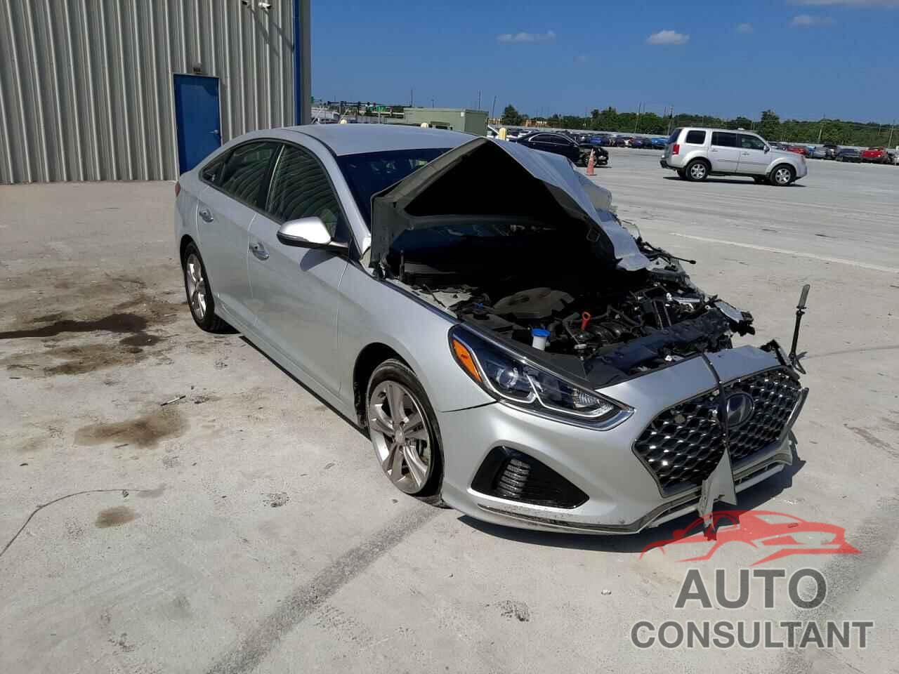 HYUNDAI SONATA 2019 - 5NPE34AF8KH816225