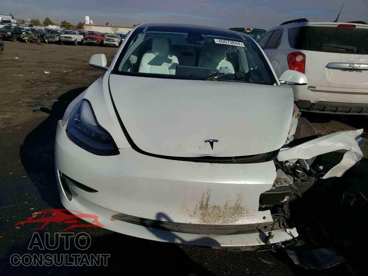 TESLA MODEL 3 2019 - 5YJ3E1EA6KF509505