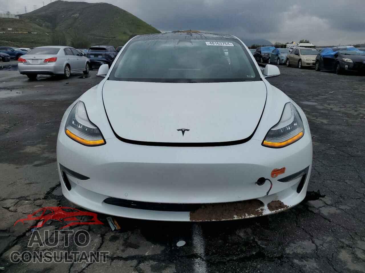 TESLA MODEL 3 2019 - 5YJ3E1EA9KF504086