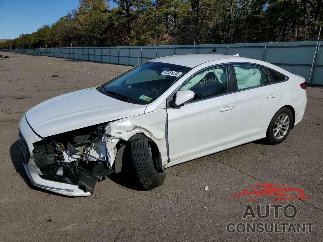 HYUNDAI SONATA 2019 - 5NPE24AF1KH804954