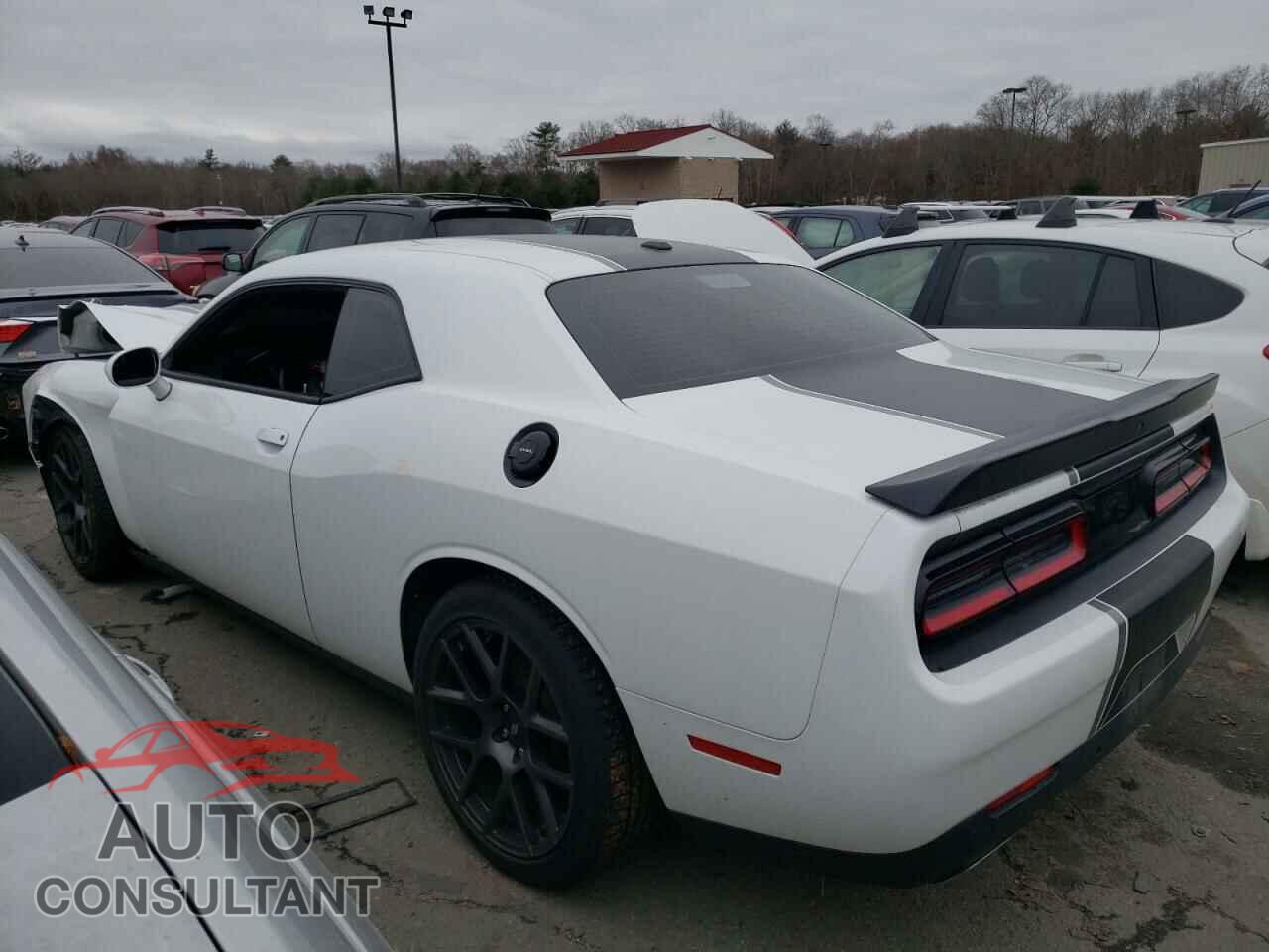 DODGE CHALLENGER 2019 - 2C3CDZBT9KH679976