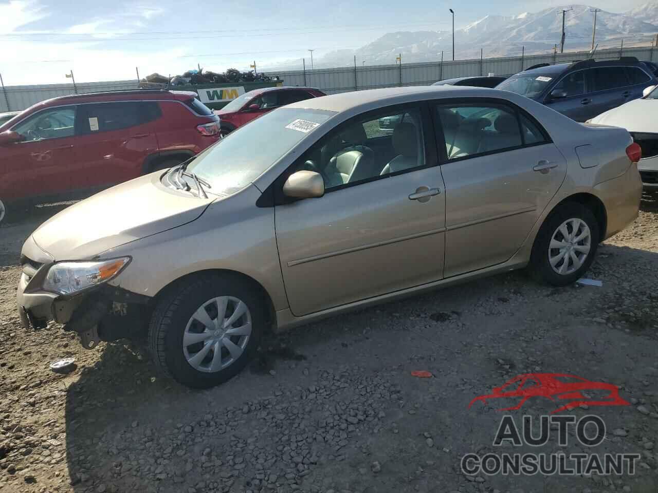 TOYOTA COROLLA 2011 - 2T1BU4EE2BC550429