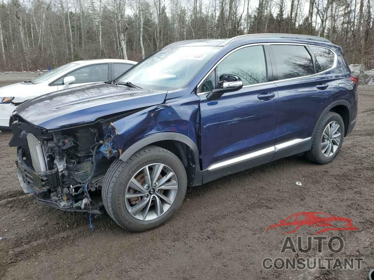 HYUNDAI SANTA FE 2020 - 5NMS3CAD3LH146190