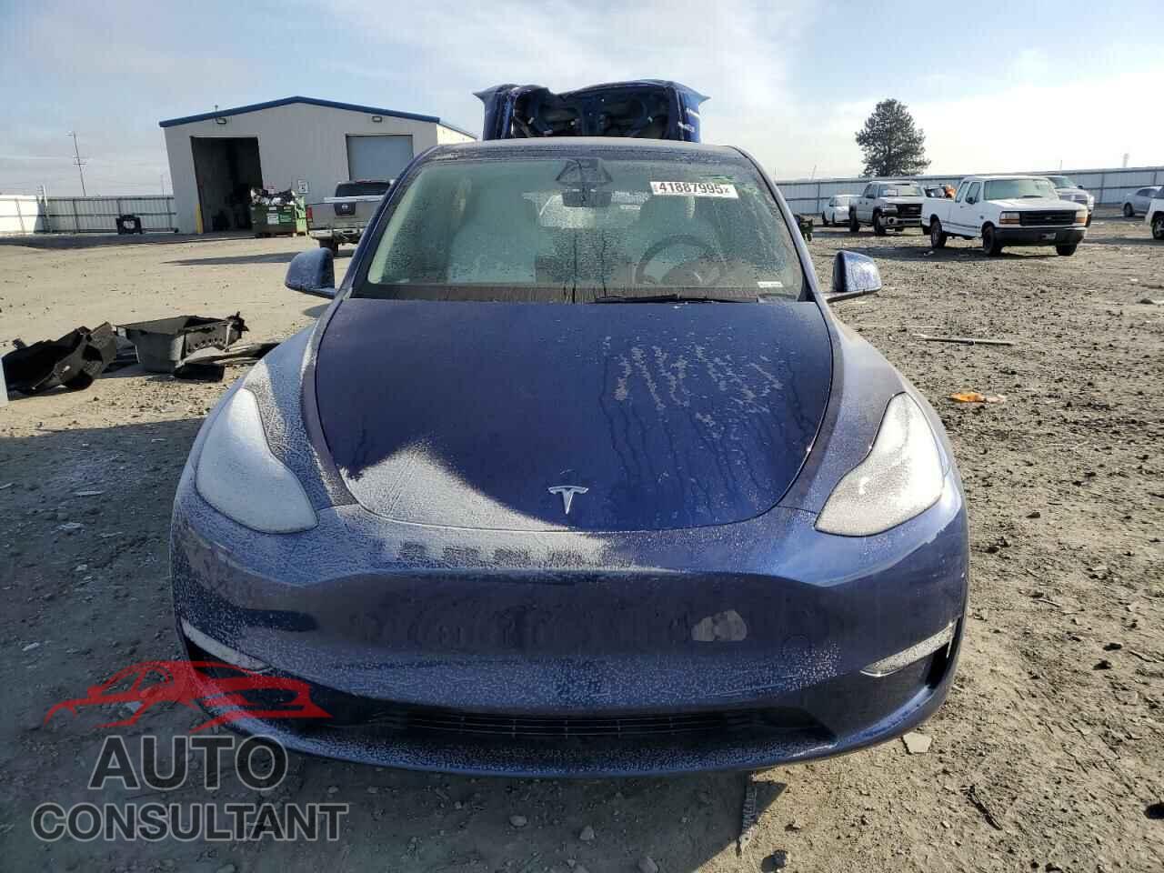 TESLA MODEL Y 2024 - 7SAYGDEE2RF127361