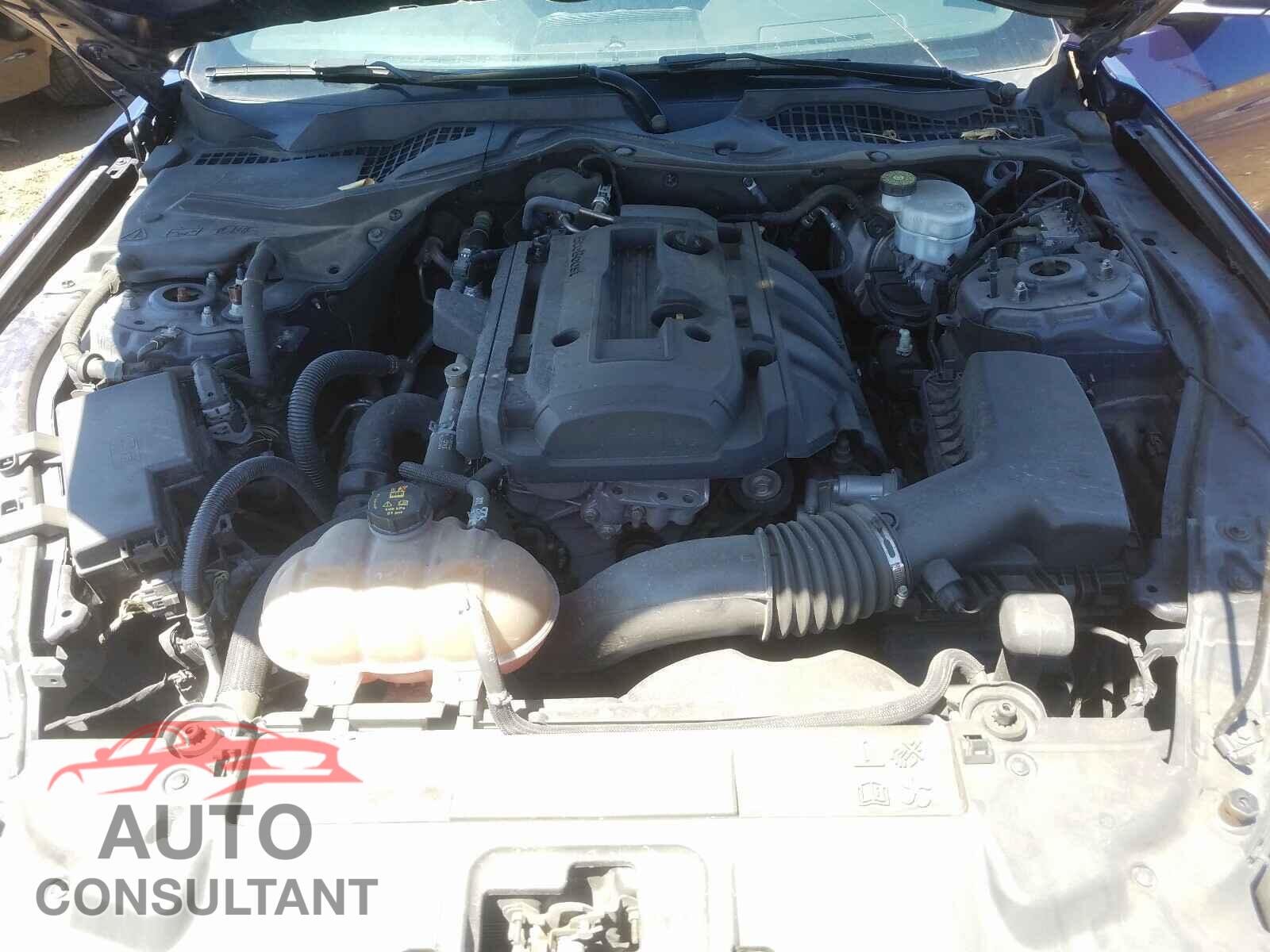 FORD MUSTANG 2019 - 1FA6P8TH3K5125219