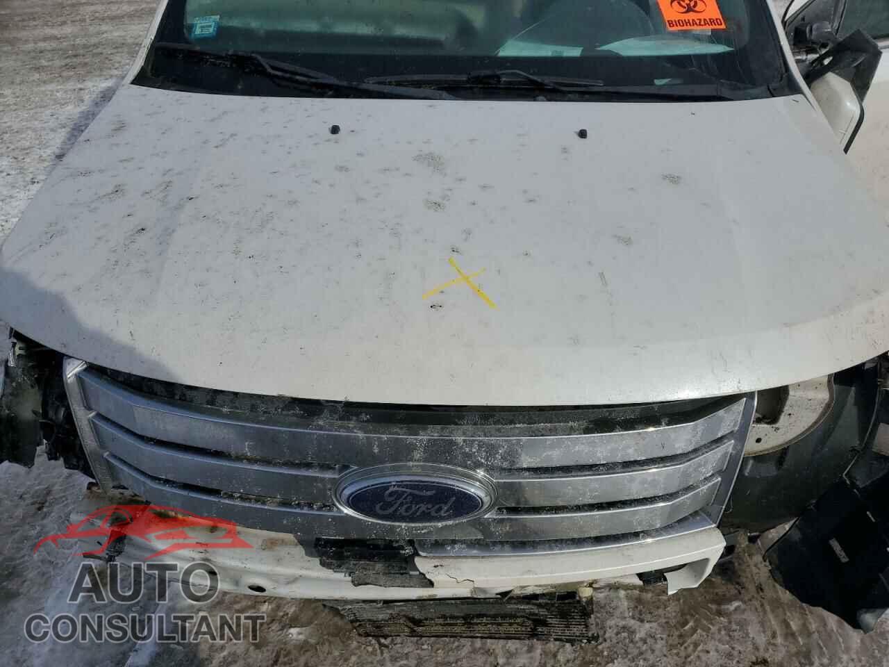 FORD EDGE 2009 - 2FMDK39C19BA98764