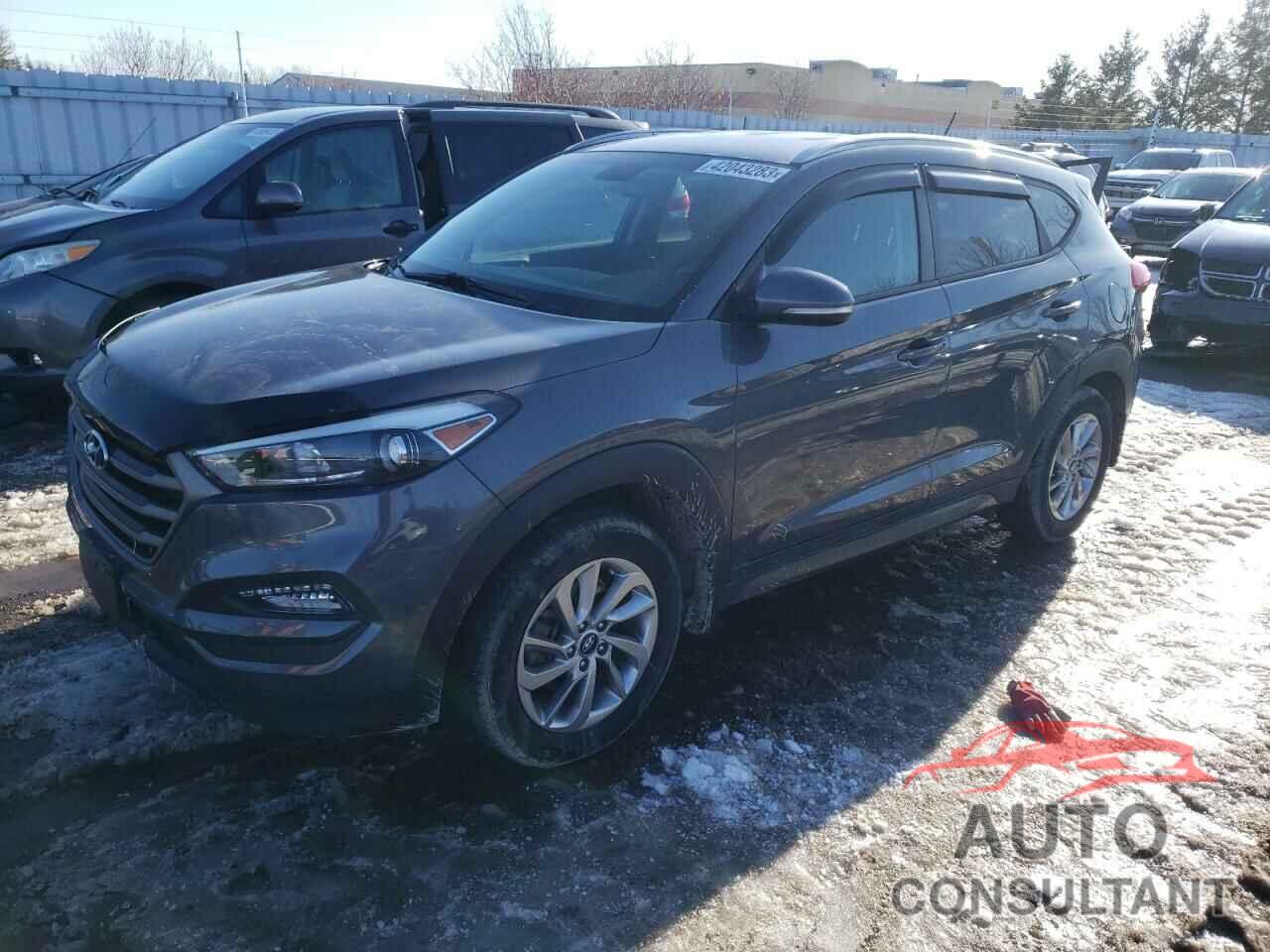 HYUNDAI TUCSON 2016 - KM8J33A40GU181520