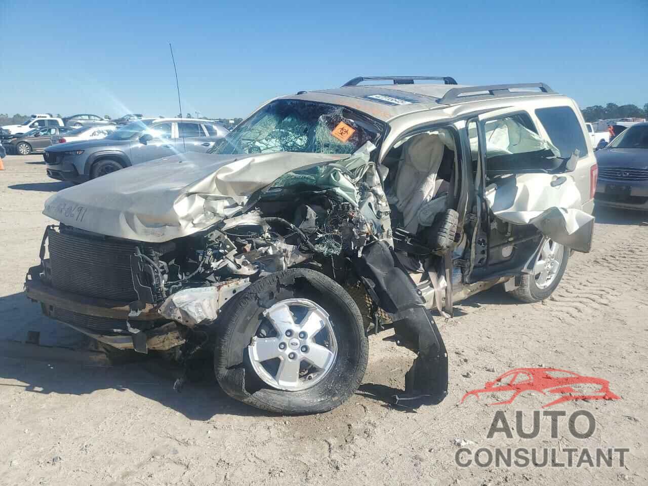 FORD ESCAPE 2011 - 1FMCU0D70BKA61764