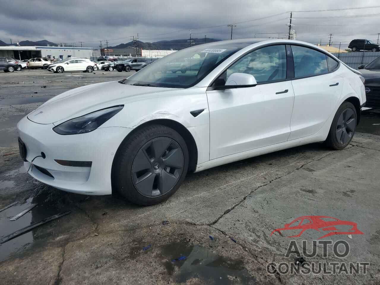 TESLA MODEL 3 2022 - 5YJ3E1EA4NF354750