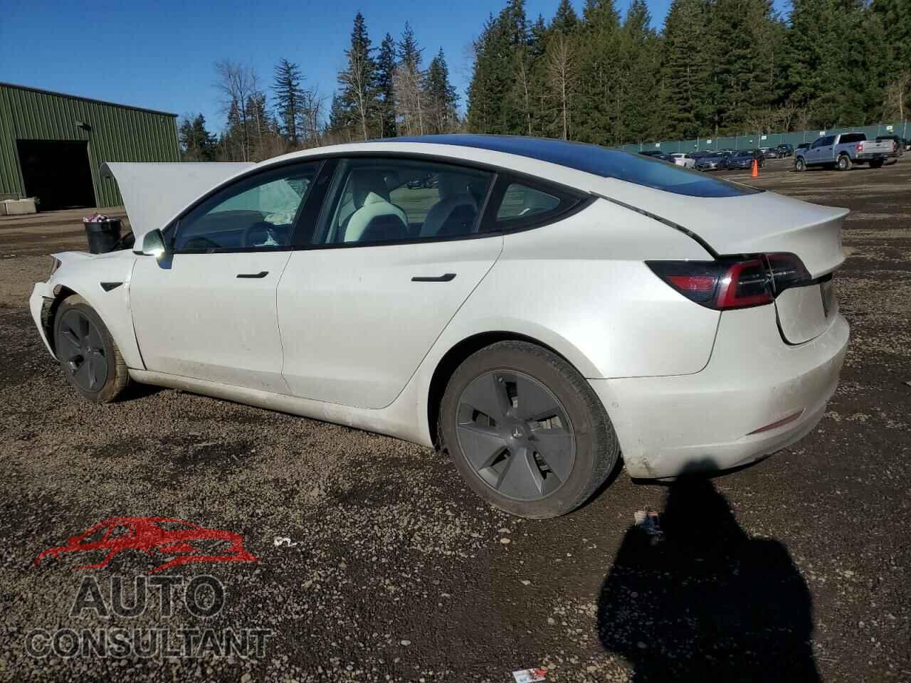 TESLA MODEL 3 2021 - 5YJ3E1EA5MF928934
