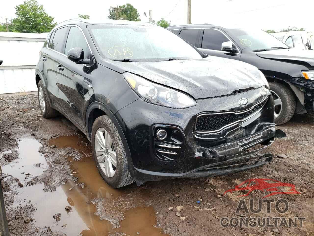 KIA SPORTAGE 2017 - KNDPMCAC0H7239970