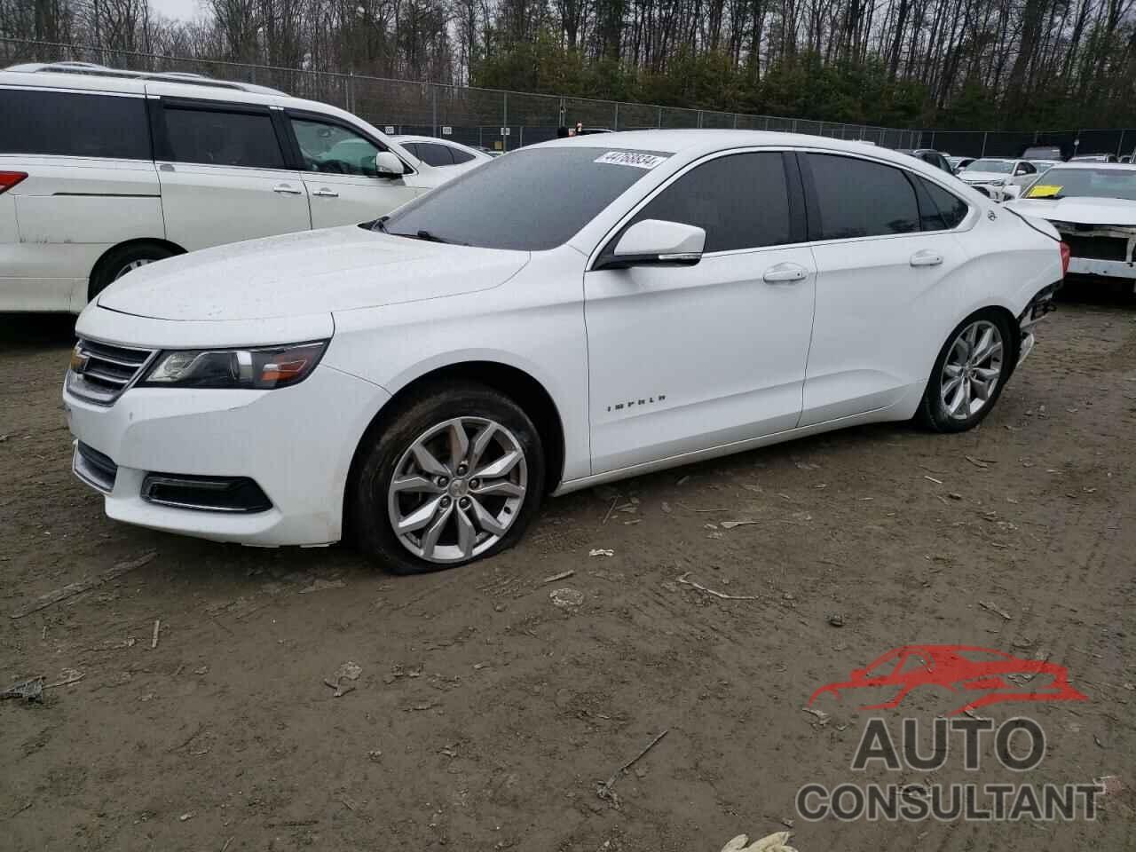 CHEVROLET IMPALA 2018 - 2G1105S36J9115646