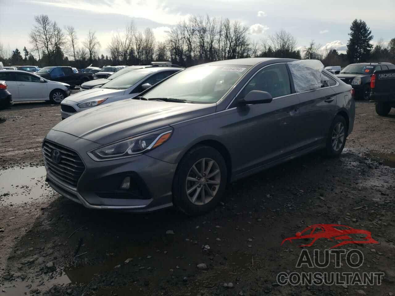 HYUNDAI SONATA 2019 - 5NPE24AF1KH819390