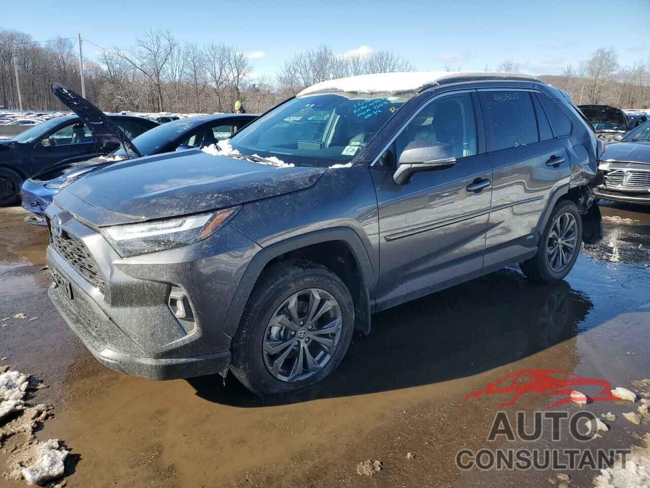 TOYOTA RAV4 2024 - 2T3B6RFV7RW062602