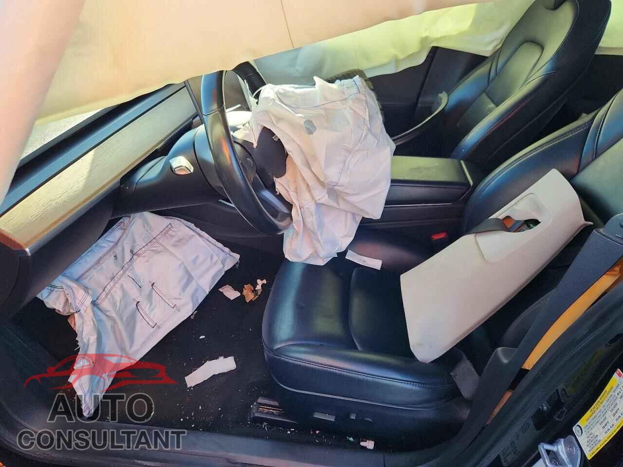 TESLA MODEL 3 2019 - 5YJ3E1EA3KF397794