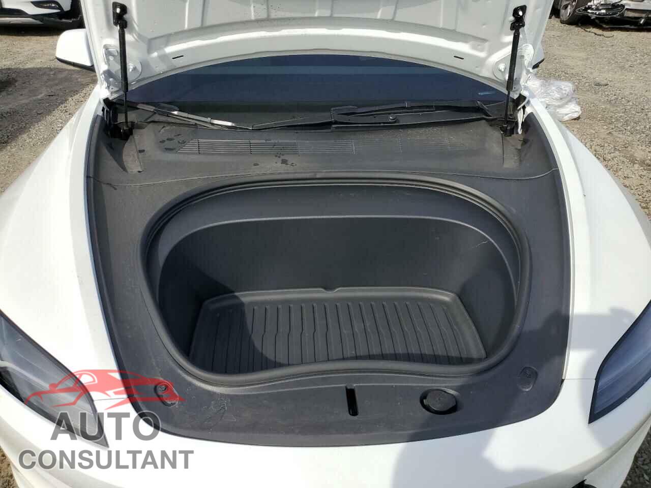 TESLA MODEL 3 2024 - 5YJ3E1EA9RF831713