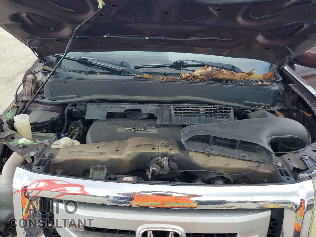 HONDA PILOT 2009 - 5FNYF384X9B027246