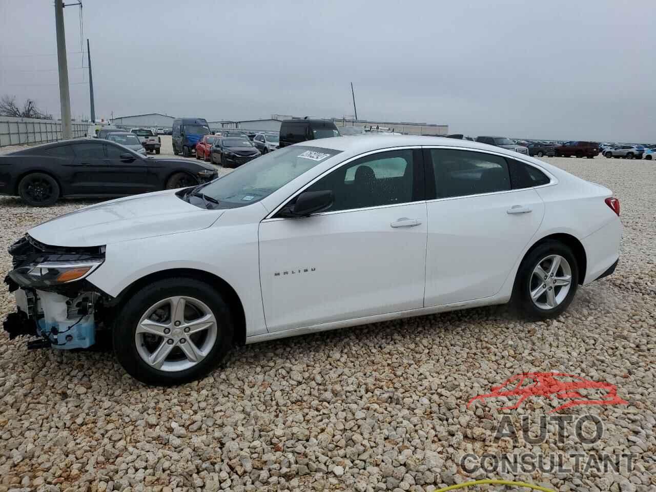 CHEVROLET MALIBU 2020 - 1G1ZB5ST7LF029124