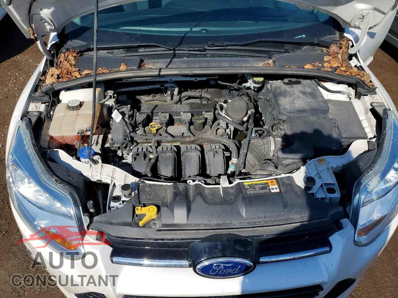 FORD FOCUS 2012 - 1FAHP3M29CL463601
