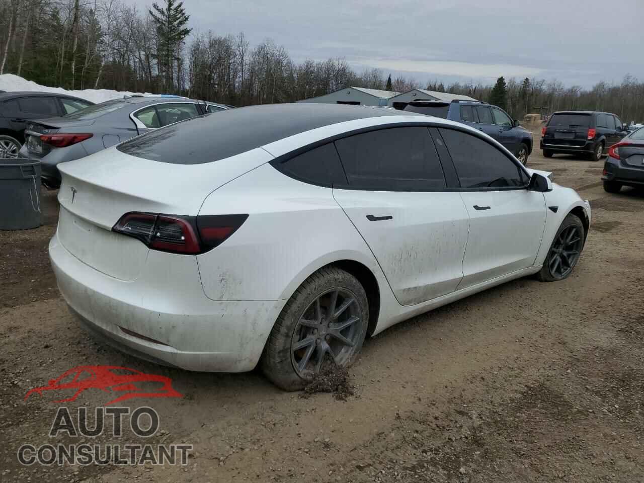 TESLA MODEL 3 2022 - 5YJ3E1EA1NF152187