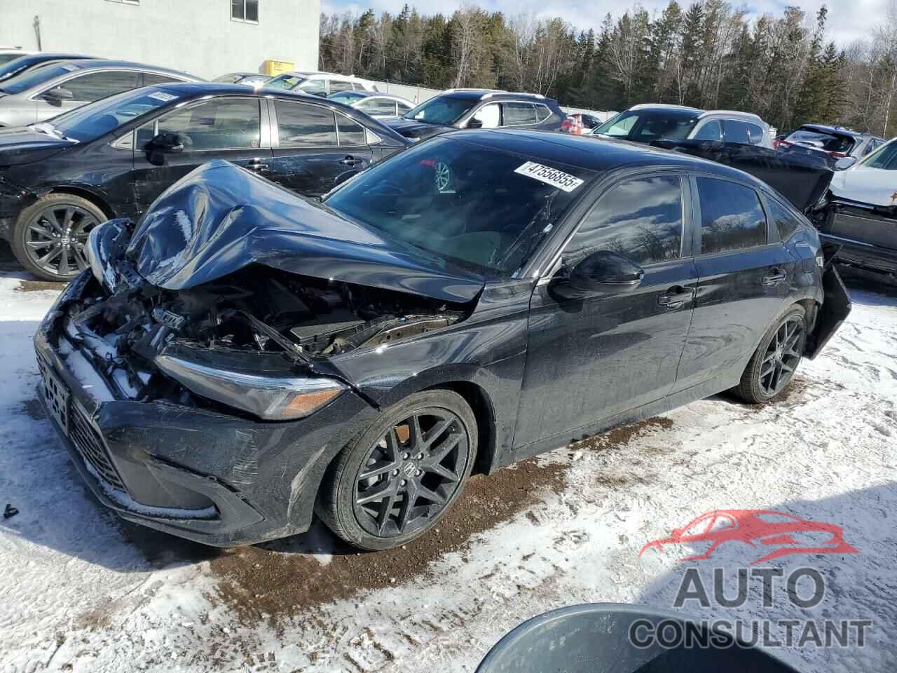 HONDA CIVIC 2024 - 2HGFE2F54RH110828