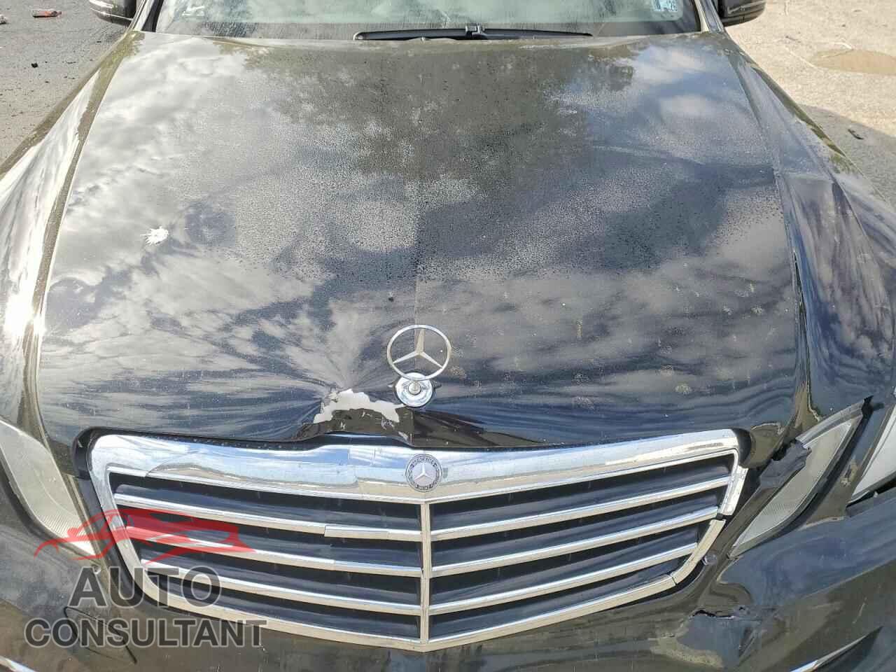 MERCEDES-BENZ E-CLASS 2012 - WDDHF8JB3CA549356
