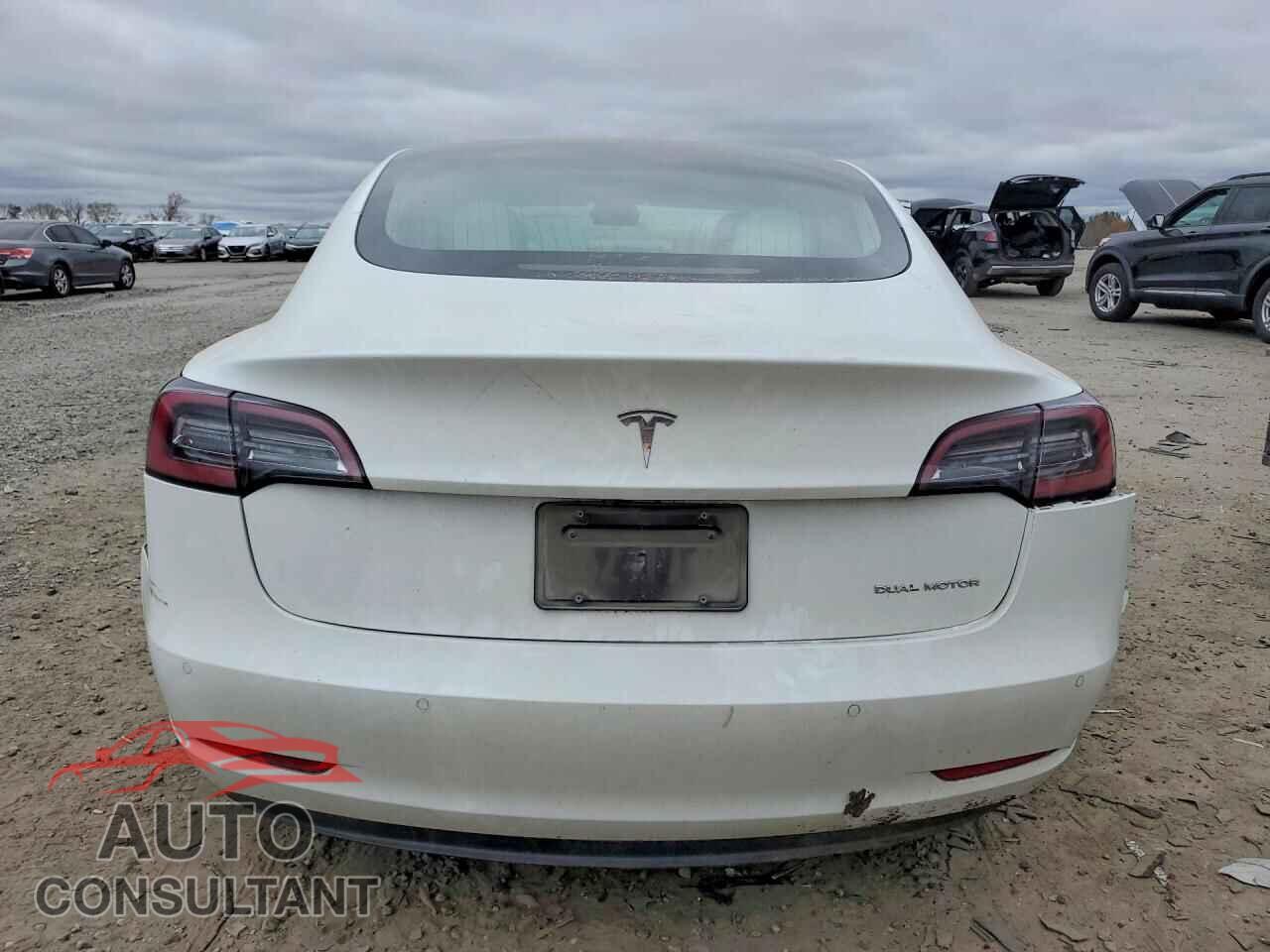TESLA MODEL 3 2019 - 5YJ3E1EB7KF406845