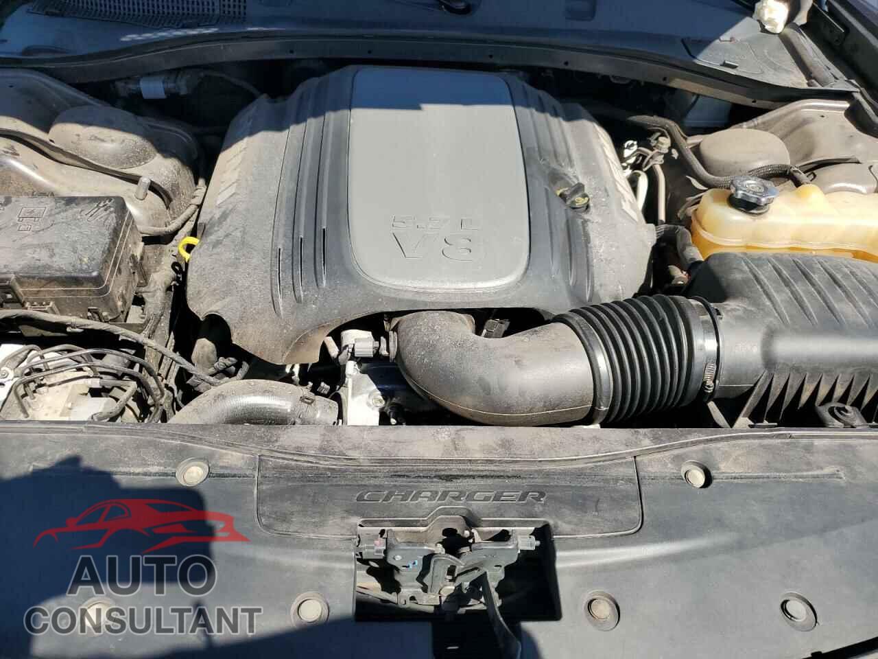 DODGE CHARGER 2019 - 2C3CDXCT5KH588271