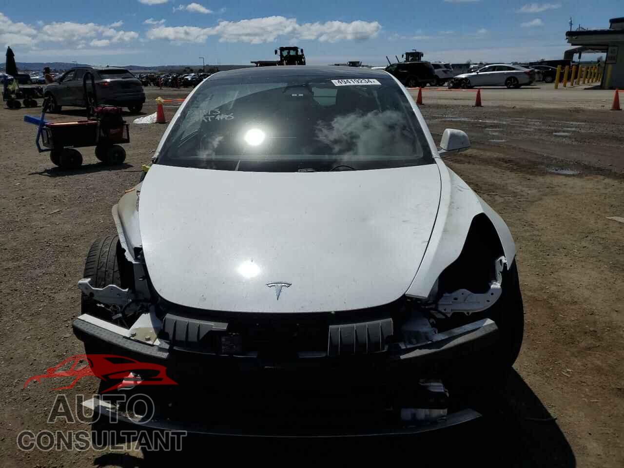 TESLA MODEL 3 2019 - 5YJ3E1EB4KF451841